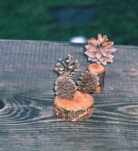 Zapfenbäumchen und 3-er-Zapfenbäumchen