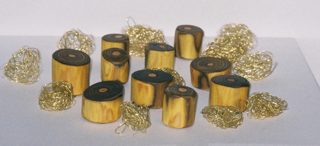 Magnete aus Essigbaum