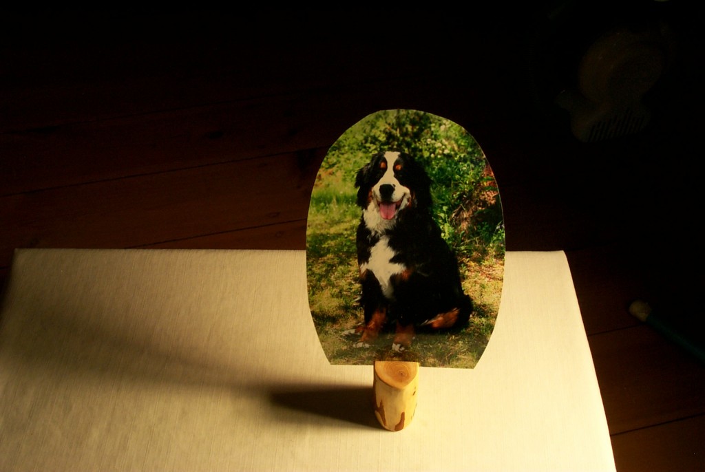 Bildhalter mit Hund