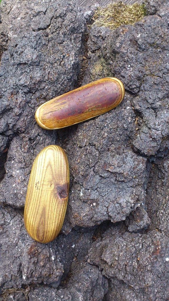 Handschmeichler Essigbaum auf Eichenrinde