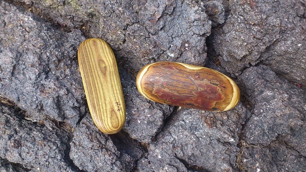 Essigbaum-Handschmeichler auf Rinde