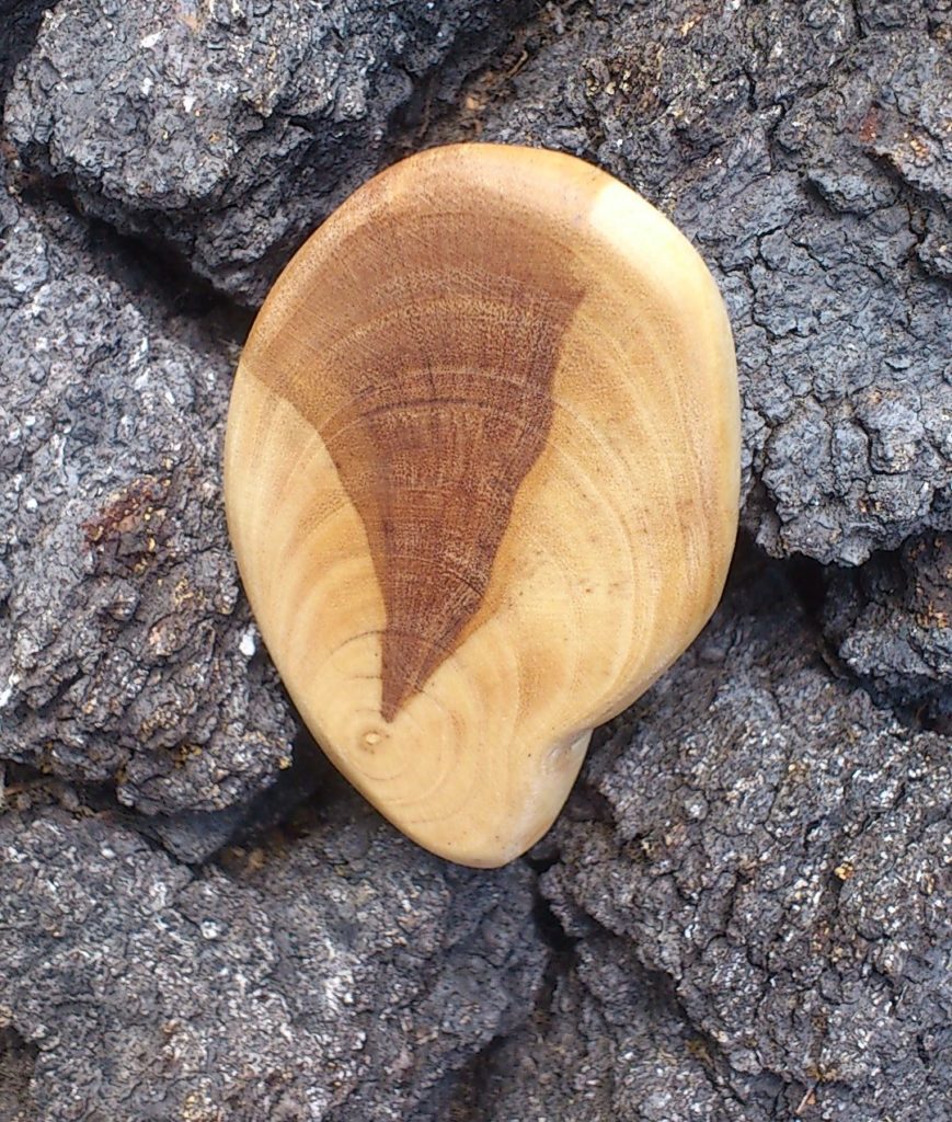 Handschmeichler Olivenholz