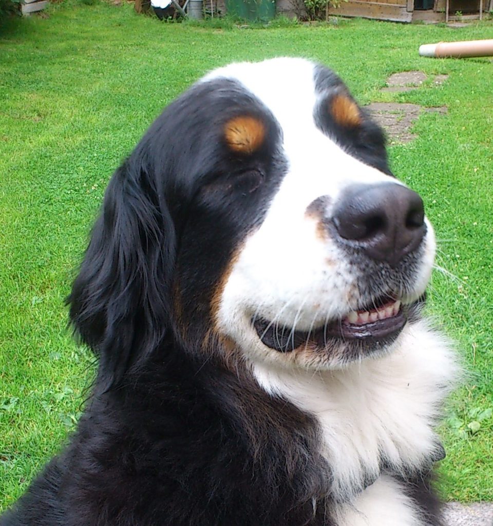 nich schon wieder diese ständigen Jobs als Model