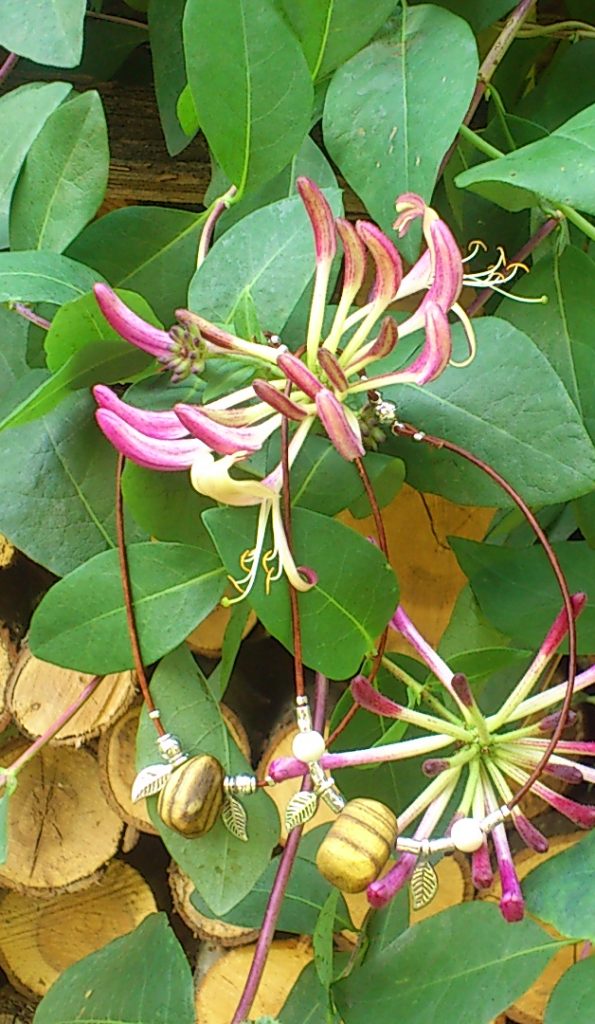 Fußkettchen Essigbaum vor Je-länger-je-lieber