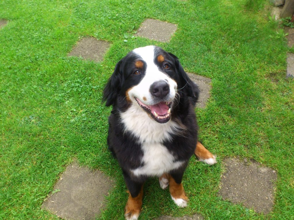 Kira August 2017
