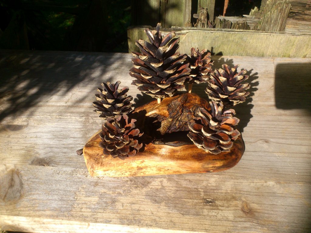 "Kleiner Wald"