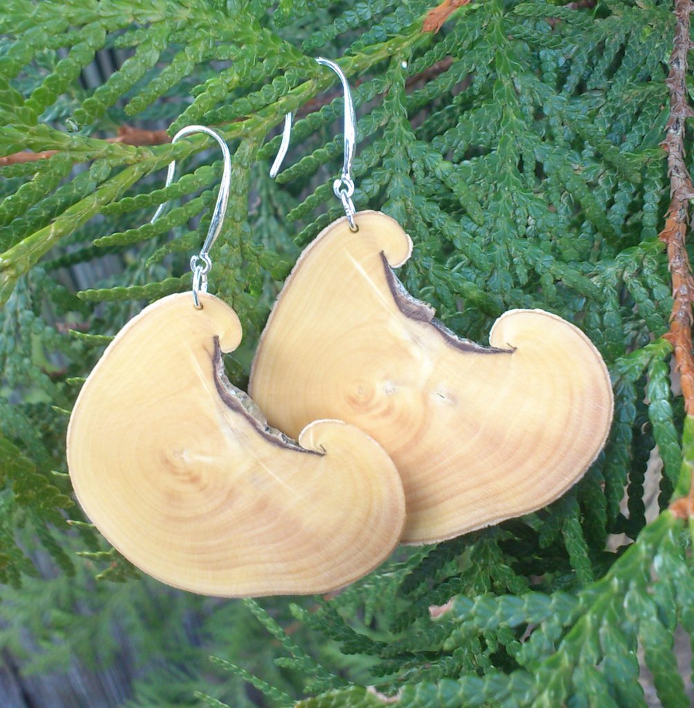 Ohrringe aus Buchsbaumholz, geschliffen, poliert und geölt