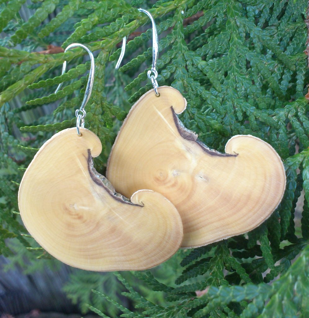 Ohrringe aus Buchsbaumholz, geschliffen, poliert und geölt