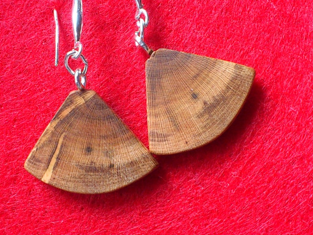 Ohrringe aus Pflaumenholz, geschliffen, poliert und geölt