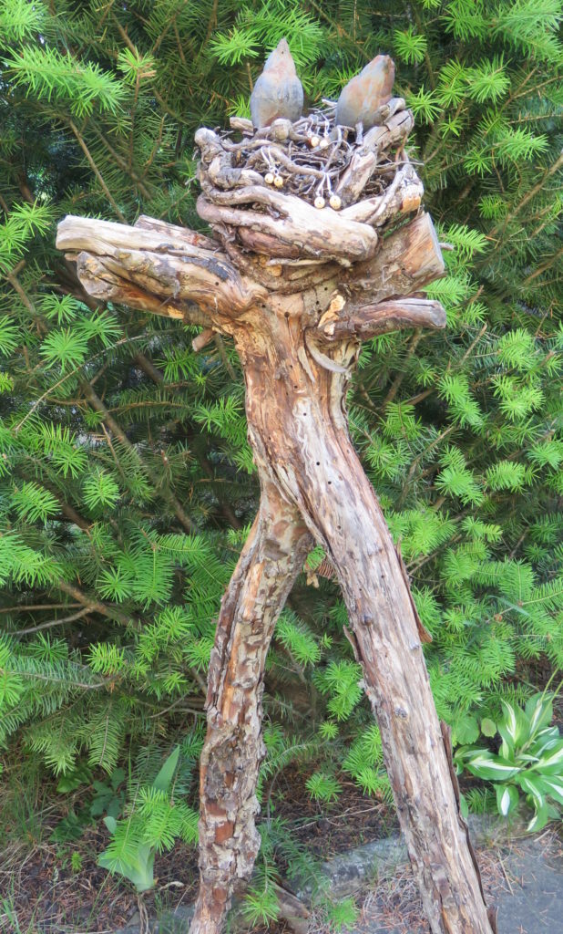"Vogelnest"