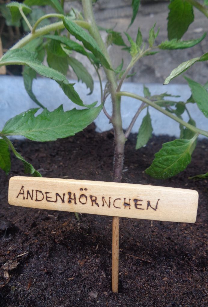 Beetstecker für Tomate "Andenhörnchen"