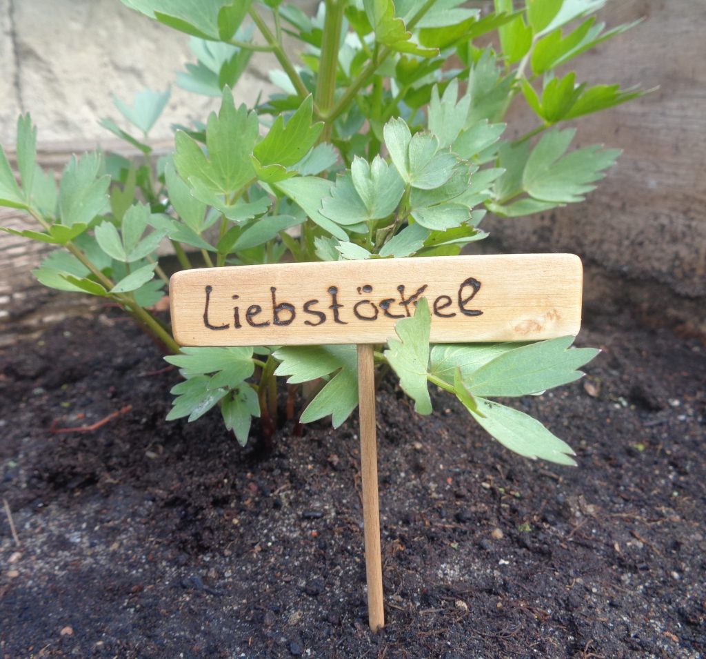 Beetstecker "Liebstöckel"