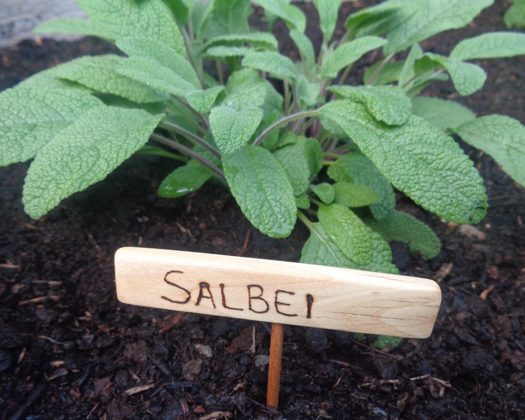 Beetstecker "Salbei"